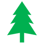 Fyrretræ med massiv udfyldning